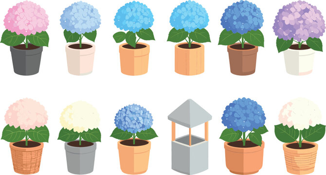 Potted hydrangea plant vector icon set featuring blooming hortensia flowers in colorful pink blue and purple shades, isolated flat design elements for garden shop graphics.