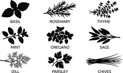 Culinary Herbs Silhouette Set Featuring Basil Rosemary Thyme Mint Oregano Sage Dill Parsley and Chives © Smith