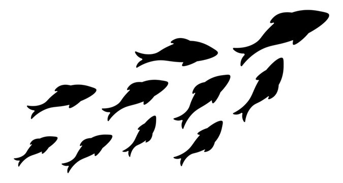 A school of fish silhouettes swimming together in black. Minimalist flat vector marine life illustration isolated on a white background.