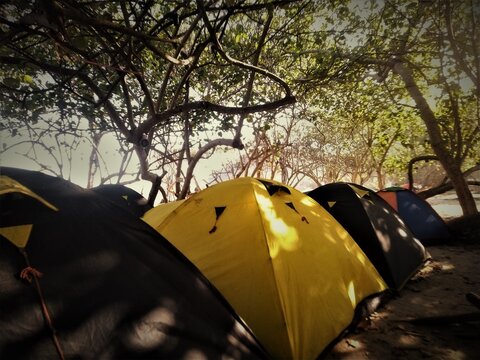 Camping Tents Set Up Under Trees on a Sunny Day.