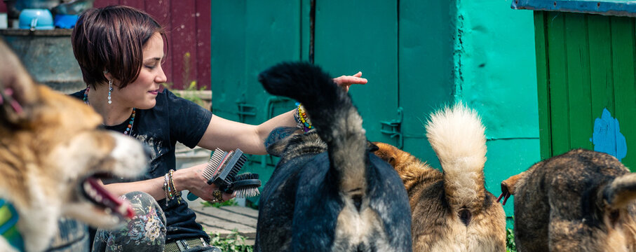 Young Female Volunteer Caring for Homeless Dogs at Animal Shelter