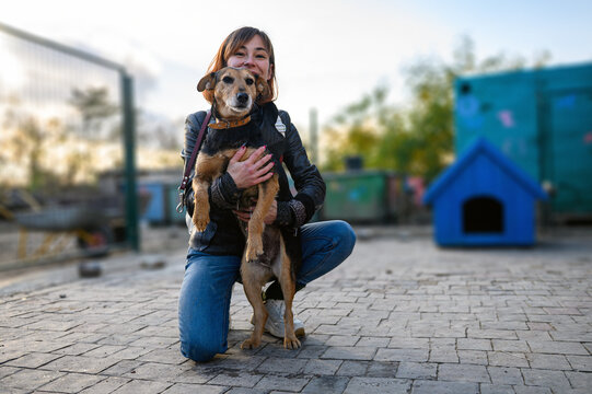 Young Female Volunteer Caring for Homeless Dogs at Animal Shelter