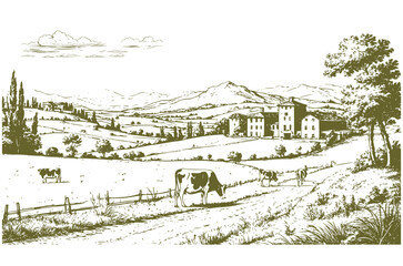 Spacious pastures on hills. There are mountains and forests on the horizon. Cows graze in field, grass and bushes in the foreground. Vector illustration. Sketch is linear drawing on a white background © Elena