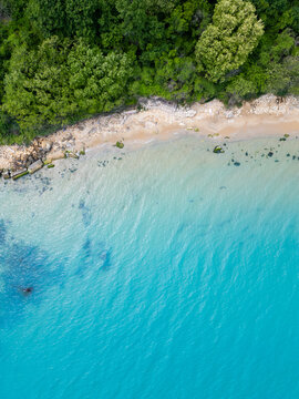 Top Down Aerial View of Turquoise Sea, Rocky Sandy Beach and Forest