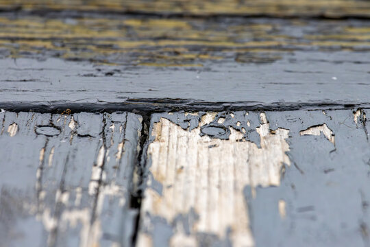 Quebec, Canada, 20 June 2026 : Close-up view of weathered wooden planks with peeling grey paint and visible cracks