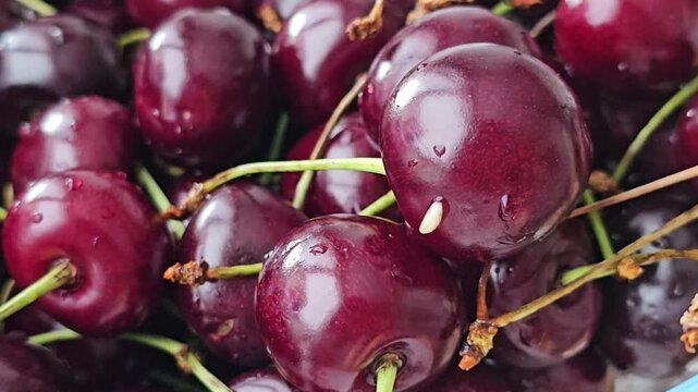 White worms crawl together into the core of ripe red cherry with juicy pulp, close-up, macro. Nutrition of cherry fly larvae. Spoiled, poor quality berry crop. 