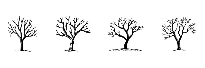 Fototapeta premium Bare Trees In Hand Drawn Style Set. Seasonal Change Doodle Sketch Collection. Nature And Environment. Isolated Vector Illustration