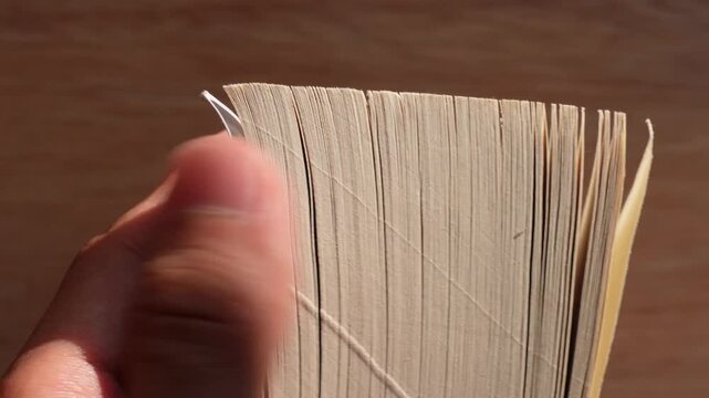hand holding a book and checking the thickness