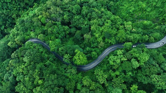 Aerial Tropical Forest Road for Sustainability Report and Green Infrastructure