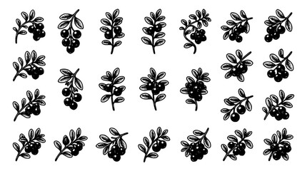 Lingonberry branches with berries in a seamless pattern against a white background in a minimalist vector silhouette style © MdShahazahan