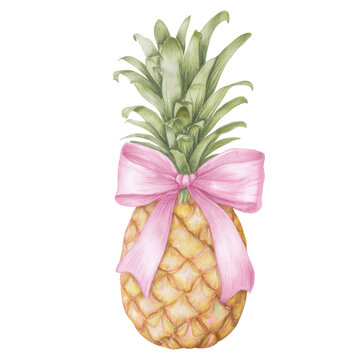 Watercolor illustration of a whole ripe pineapple decorated with a pastel pink bow isolated on a transparent background.