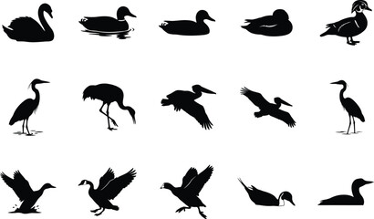 Fototapeta premium Waterfowl and Wetland Bird Silhouette Collection with Flying and Swimming Birds