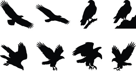 Naklejka premium Eagle Silhouette Collection Set with Flying and Perched Birds of Prey