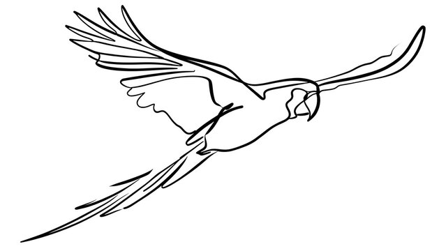 Flying parrot illustration on white background.