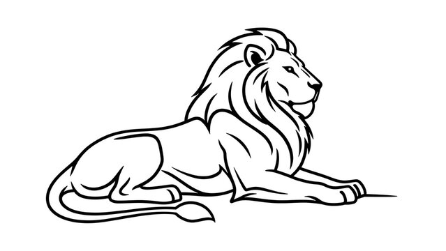 Majestic lion illustration on white background.
