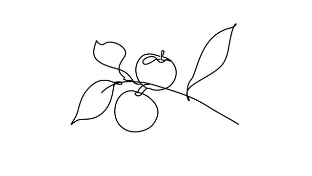 Minimalist apple branch drawing on white background.