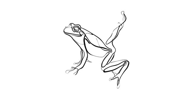 Minimalist frog line drawing white background.