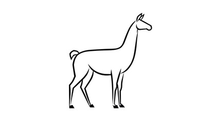 Fototapeta premium Simple line art drawing of a llama white background.