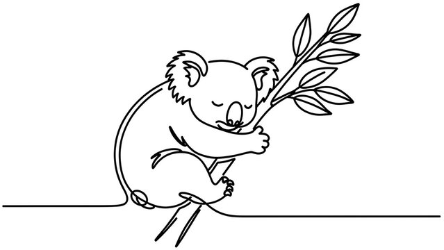 Cute koala illustration on white background.