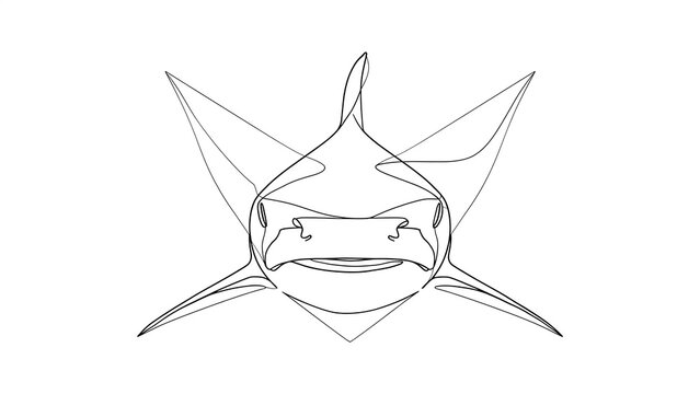 Angry cartoon shark head sketch white background.