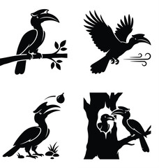 Hornbill Silhouette Illustrations in Perching, Flying, Feeding, and Pairing – Exotic Bird Art © Ibrahim