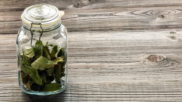 Dried laurus nobilis bay leaves in glass jar on rustic wooden background with large copy space