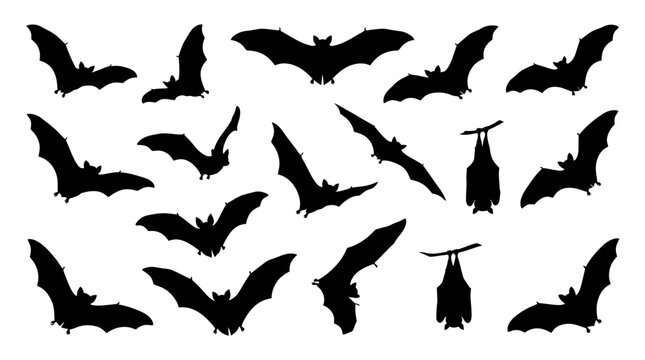 Halloween event Black silhouette Black bat silhouettes, flying bats, Halloween icons, 20 bat graphics, vector illustrations isolated on White Background eps