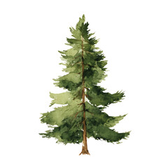 Fototapeta premium A single pine tree standing tall.