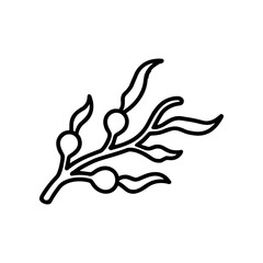 Black line art seaweed illustration. © Ilham