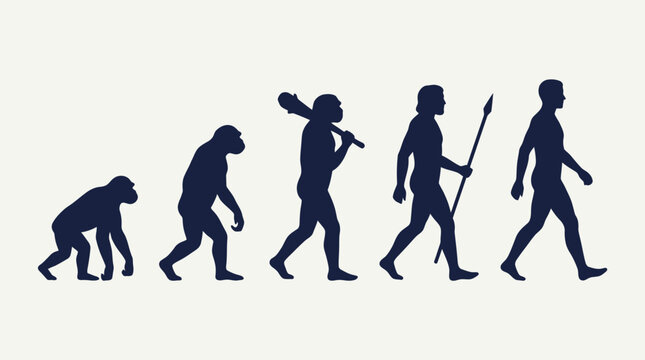 Human Evolution Silhouette showing stages from ape to modern man on white background, ideal for educational materials, biology presentations, and historical concepts.