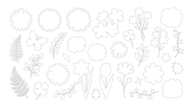 Flower set vector illustration featuring various botanical elements including leaves stems butterfly and ladybug isolated on a white background