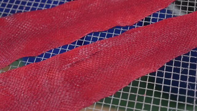 Close up of red dyed fish skin showing natural scale pattern texture
