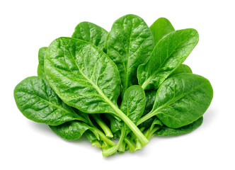 Fototapeta premium Fresh green spinach leaves on isolated background