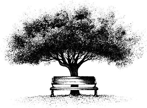 Wide canopy copper beech tree rising above bench black and white stipple illustration for fall background and poster design