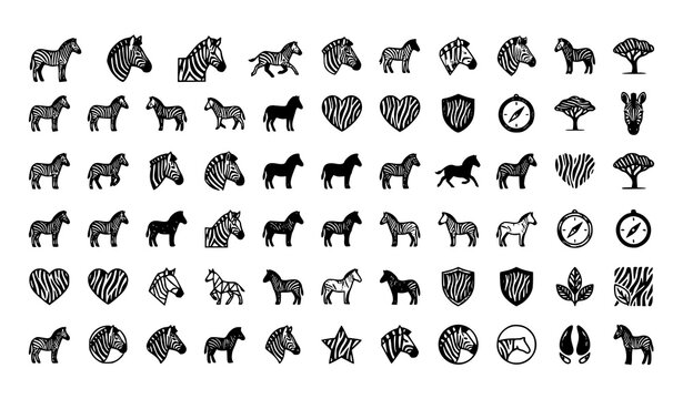 Zebra icons and symbols in various styles and poses