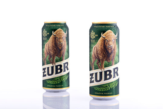 Żubr Polish Lager Beer Cans Isolated on White Background
