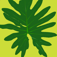 Flat vector illustration of a green tropical leaf on a bright yellow background © Aiden