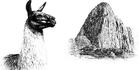 Fototapeta premium Llama and andean mountain with inca stone ruin black and white stipple engraving for background poster and banner design