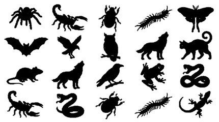 Fototapeta premium 8 Black silhouette vector collection with bat, raven, owl, black cat, spider, snake, rat, wolf, crow, scorpion, frog, moth, beetle, centipede, and lizard. Clean isolated silhouettes.