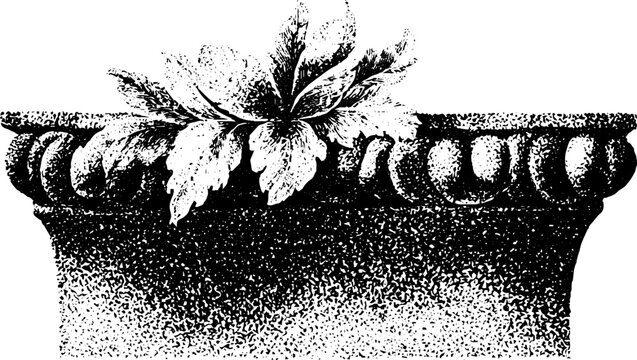 Ornamental plaster cornice fragment with acanthus leaf motif in black and white traced texture for architectural background and border design