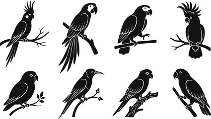 Set of black silhouettes of various exotic parrots and cockatoos perched on tree branches and twigs © Sifat