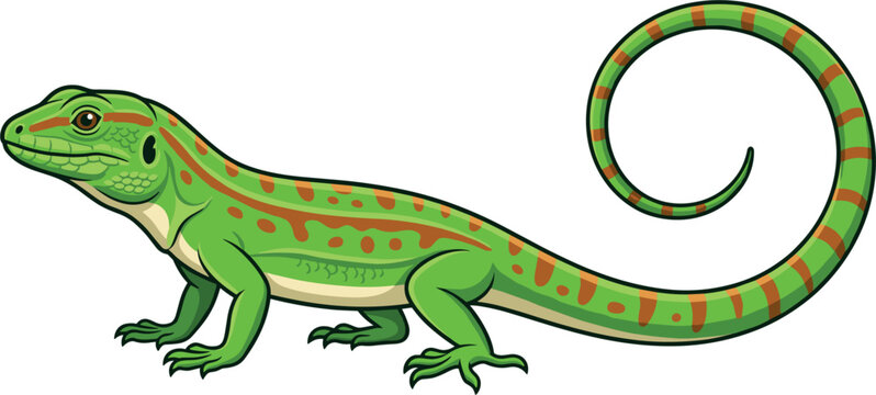 Green lizard vector illustration isolated on white background exotic tropical gecko with curled tail striped reptile graphic