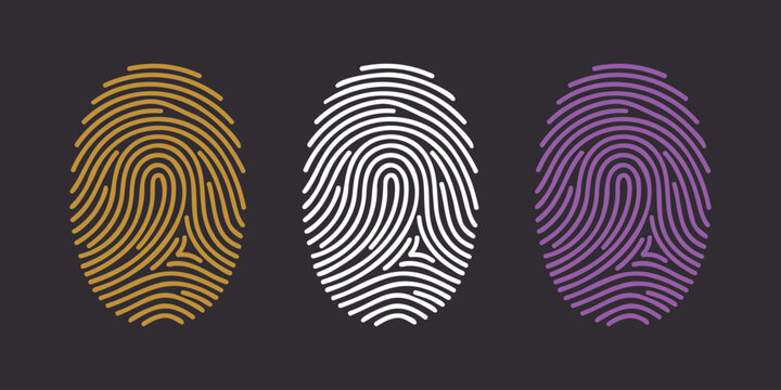 Stylized illustration of three fingerprint patterns in orange, white, and purple, symbolizing individuality, identity, security, and biometric authentication systems