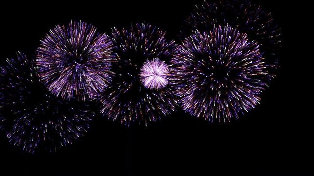 SEAMLESS LOOP : Multiple Purple and Multi-Color Fireworks Displays on Isolated Transparent Background