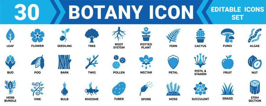 Set of 30 blue botany icons including plants flowers trees roots and various biological nature elements Minimal solid fill icon set bundle collection. Editable Vector Illustration Mega pack