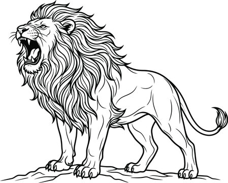 lion head vector art