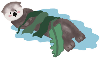 sea otter with seaweed © Eunyoung