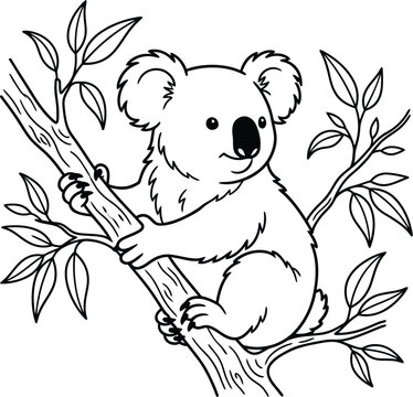koala bear on tree vector