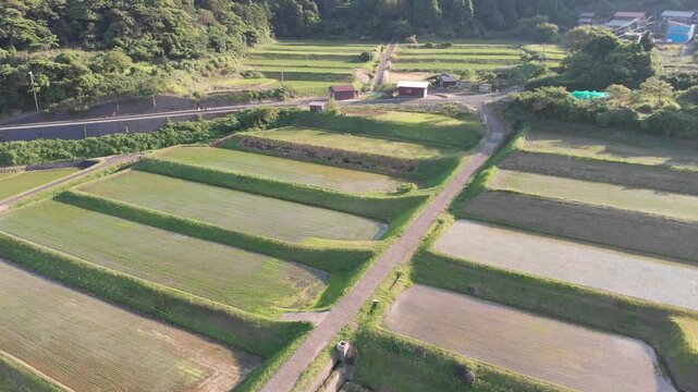 Aerial drone shot moving slowly forward over the scenic Arai Rice Terraces in Ine, Kyoto, Japan
