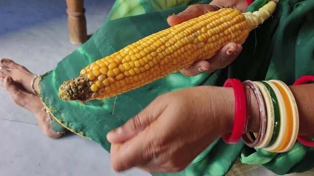 An Indian woman peeling corn cobs